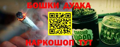 гидропоника Канаш