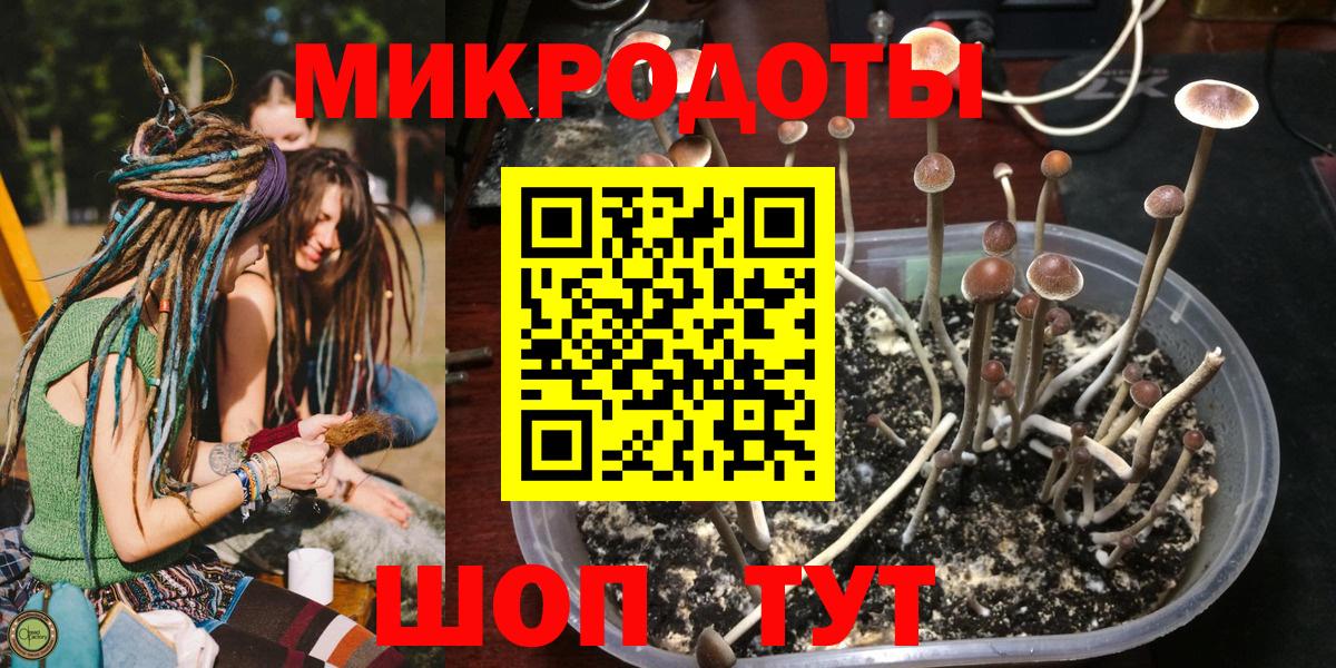 Псилоцибиновые грибы Psilocybe  Вход с VPN  Галлюциногенные грибы MAGIC MUSHROOMS  купить наркоту  Красногорск 