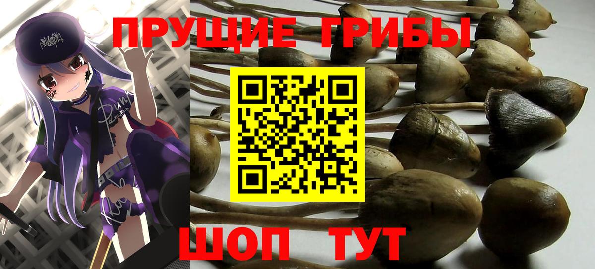 Галлюциногенные грибы Cubensis Красногорск